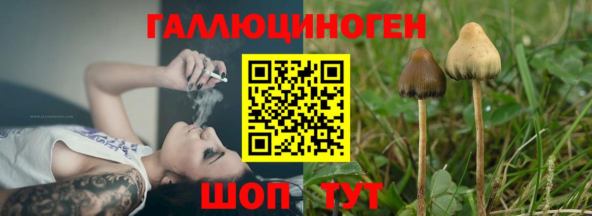 Луга  Псилоцибиновые грибы мицелий  Вход с VPN 